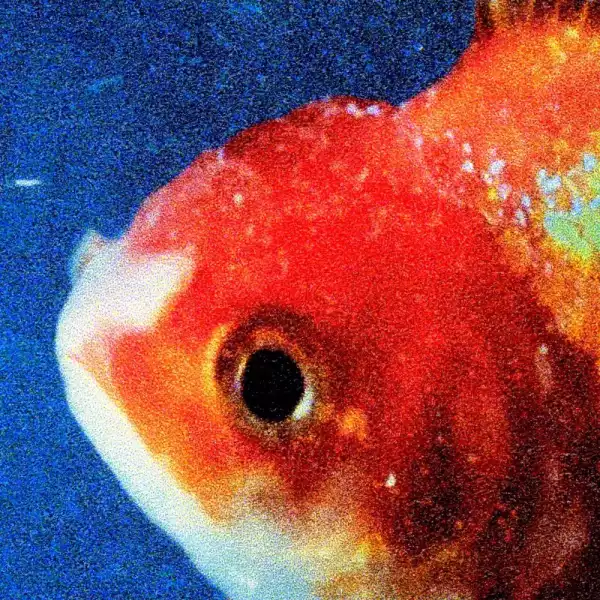 Vince Staples Shares `Big Fish Theory` Album Tracklist